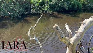 Ever wondered about Latina curves meeting BBC outdoors? Full spicy action awaits.