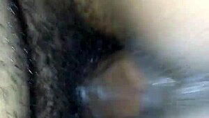 All these H-Town thots taking that big black cock like pros