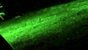 spying on my wife cheating