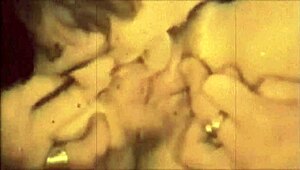 vintage threesome confessions from a victorian gentleman's secret life