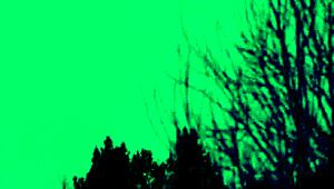 Stepmoms Lesbian Play Turns into Wild Foursome Fun