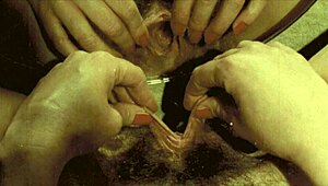 Hey, wanna see vintage pregnant lesbians from my secret 19th century diary?