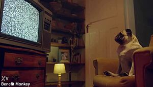 Benefit Monkey Liz Rainbow The Blue-Eyed Girl Ends Up With A Mouth Full Of Semen