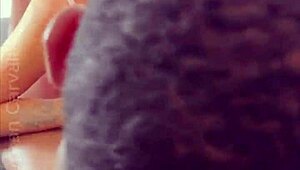 sara apollo ganhou cenoura de chocolate e seu marido deu uma ajudinha video completo xvideosred ou sheer link banner do perfil