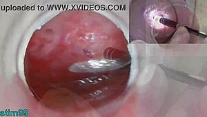 Mature Milf's Wild Cervix Play with Japanese Endoscope Cam!