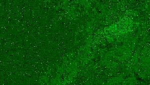 Crazy girl pees on public beach!