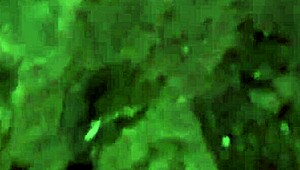 Well-Endowed Guy Says, I Fucked You And Your Friend On The Beach!