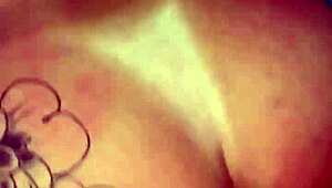 that internet star giving bradock a wild ride until he can't handle it