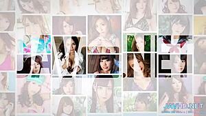 日本阴户鉴赏家第15卷