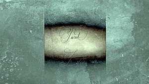 A Trip To The Seaside With Ripped Clothes