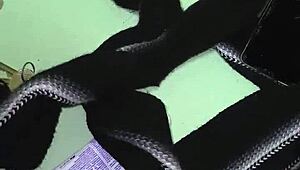 i fucked the fat milf maid hard, creampie in her big ass!