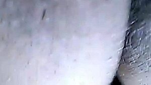 desi aunty pussy compilation gets you hard