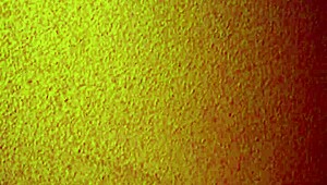 Mature Asian Hooker in Brothel Licks Feet Before Creampie