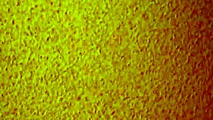 Mature Asian Hooker in Brothel Licks Feet Before Creampie