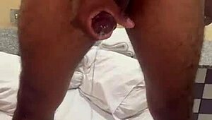 a gordinha da minha esposa estava ha 2 meses sem pica e me implorou para meter tudo