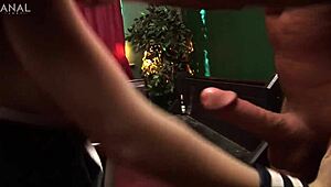 You ready for just anal with amy azurra and stacey saran? They take group sex to facial cumshots and assfucking fun!