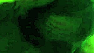 Watch me lick her pussy and fuck her ass