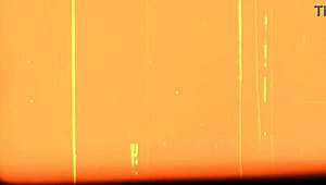 naughty ivy kneels and sucks fat dick then rides to completion