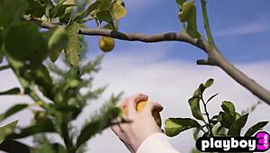 perfect big ass teen 18+ model hayli sanders rips clothes to reveal her body in stockings