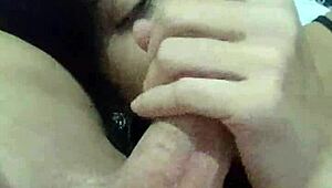 My submissive wife debora prado gives sloppy blowjob every night