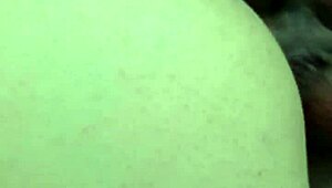 Wet Pussy And Ass Of Neighbor's Prostitute