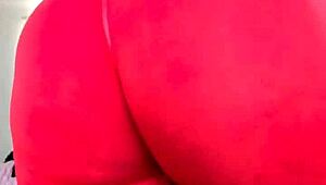 Milf Melody Radford tries on sheer gym tights and gets fucked