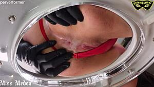 Cosmo is trained as a loo by three toilet training icons