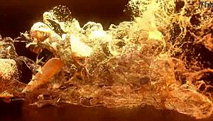 Ainhoa Campbell, Take That Big Black Cock Deep in Your Ass!