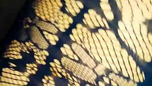 I Explore My Mature Ass And Wet Holes Up Close In Amateur Anal Action