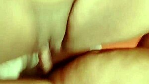 sundaydogood614 update 530 vid 20241012 133831 oct 12 2024