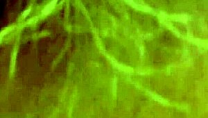 Mature milf wants your cum