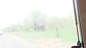 Ebony Babe's Intimate Solo Session In Car