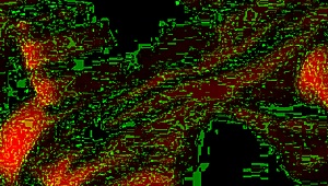 Real Homemade Fucking With Married Bride At Wedding.