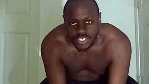 Lizard Exercises Look Different From Spider And Squid Exercises