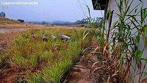 Abandoned Building Public Suck Off