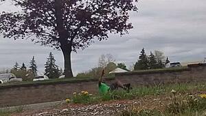 Practicing an indoor exercise routine outdoors in private