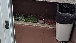 masturbating in public bathroom!