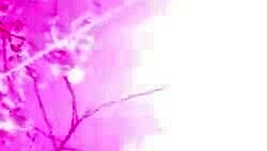 Hot stepdaughter sucks my cock in the early morning while wife sleeps unaware