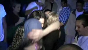 college girls next door getting fucked at this mega orgy 😍