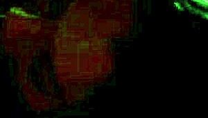 damn, this latina mommy gives an amazing blowjob 😍