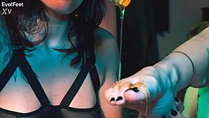 Now they just want to kiss feet covered with honey.