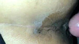 Have you ever tried anal with a brunette? It's so intense and deep, making her moan loudly while I thrust harder and faster, feeling every tight curve.