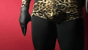 show de exibi��o movimentos de strip tease dan�a sedutora performance de sensualidade e provoca��o