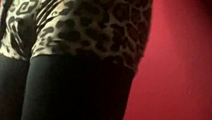 show de exibi��o movimentos de strip tease dan�a sedutora performance de sensualidade e provoca��o