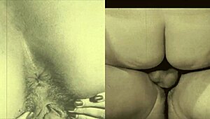 复古毛逼女同狂玩穴。