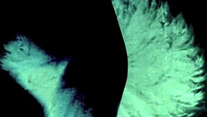 Dark Lantern Entertainment Presents The Sins Of Our Ancestors From My Secret Life