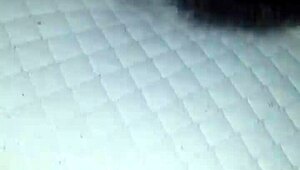 Brown Girl Receiving Oral Attention