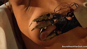 the sensual lesbian madame kisses and fingers her blindfolded slave in a bdsm scene