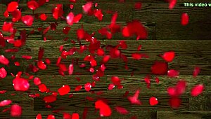 chico de xvideos me quita la tanga y me pa recibir su verga en mi vagina que esta deseosa de su verga 😍