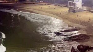 First Time Beach Fuck With Three Friends In Rio!